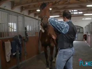 Tera alegria a montar cavalo em fazenda