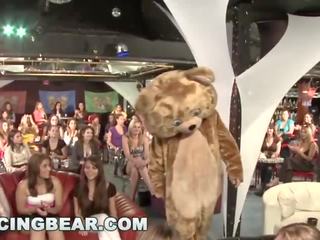 Dejošas lācis - mežonīga ballīte meitenes zīst no liels dzimumloceklis vīrietis noņēmējus!