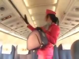 Desirable stewardess sucking member before cunnilingus